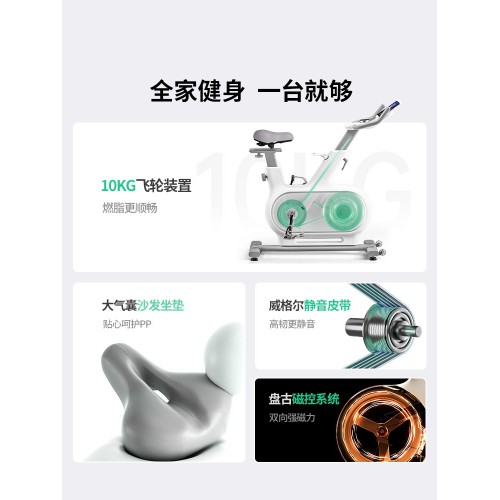 麦瑞克动感单车家用款健身器材有氧运动室内自行减肥专用绝影one