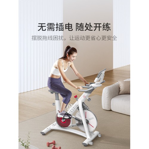 YESOUL野小兽智能动感单车家用运动健身器材室内健身车静音S1